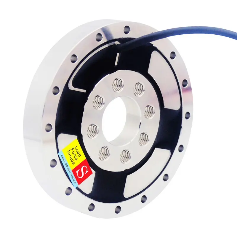 joint torque measurement