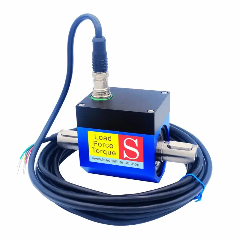 torque sensor for motor testing
